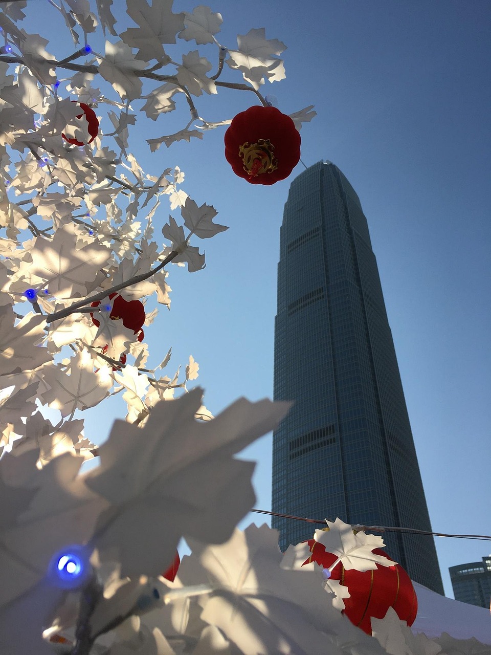 漫漫長(zhǎng)夜新版本砍樹(shù)探索，全新體驗(yàn)之旅